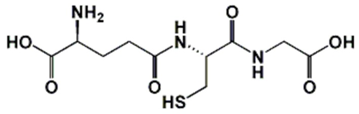 Glutatione: panoramica dei suoi ruoli protettivi e biosintesi