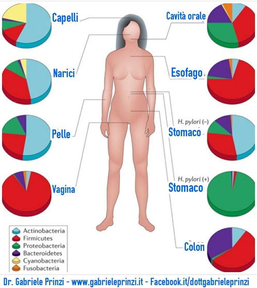 Microbioma o ..."microbiomi"?