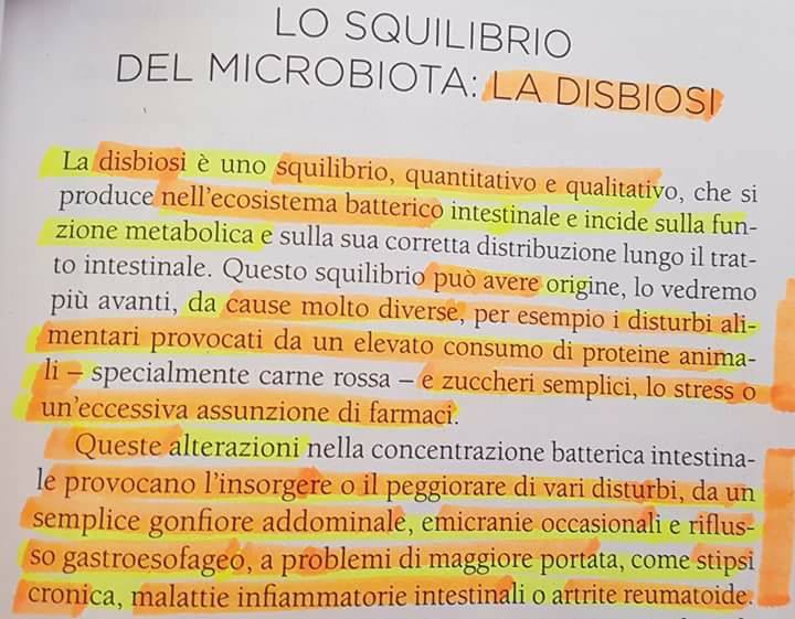 Come capisci che hai una disbiosi intestinale?