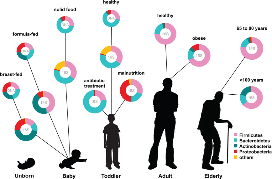 Il Microbiota è la nostra "impronta digitale batterica"