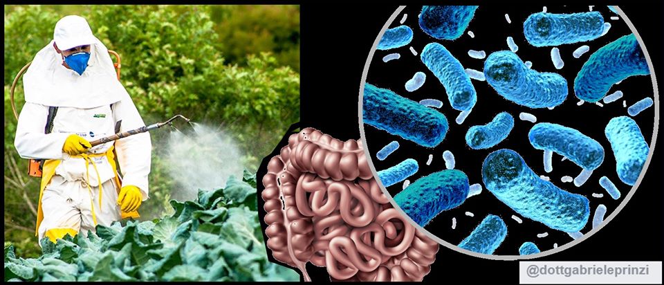 Il Glifosato danneggia seriamente il Microbiota Intestinale
