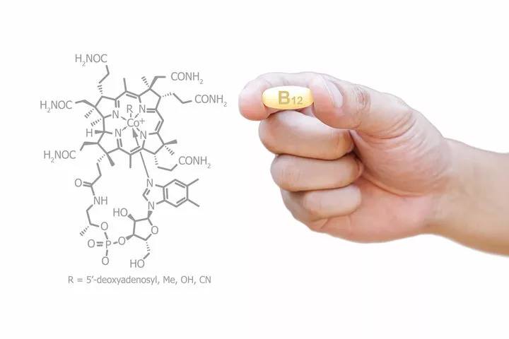 Anemia Perniciosa, Neuropatia, e Fattore di Castle. Mini-trattato della (dimenticata?) Vitamina B 12