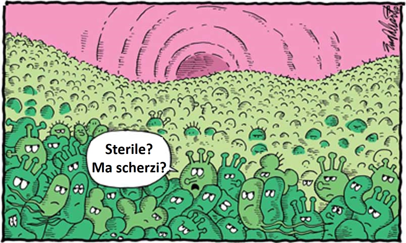 Helicobacter Pylori, Gastriti, Reflusso e ...