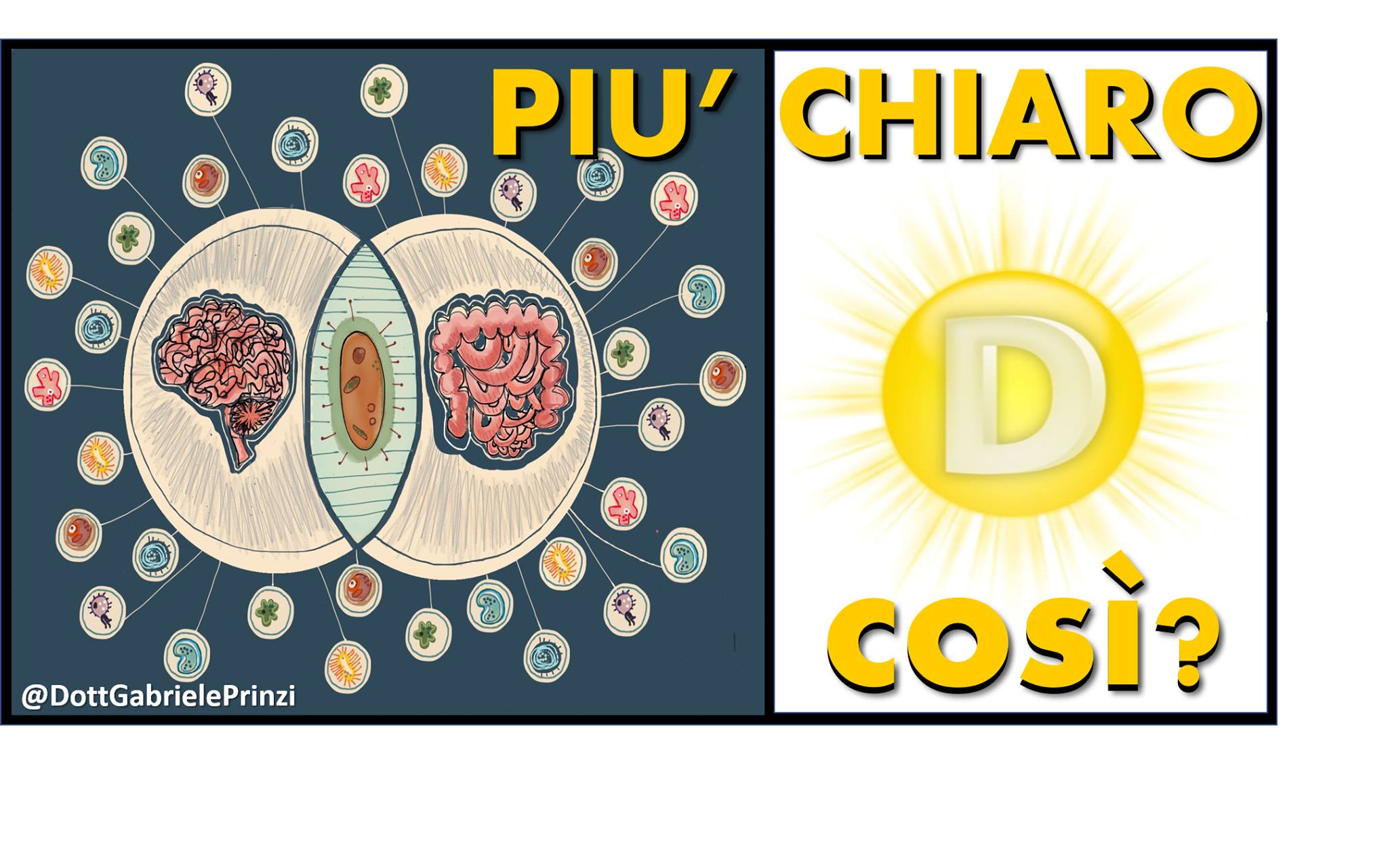 Vitamina D e salute intestinale: breve panoramica sull'asse "microbiota-intestino-cervello"