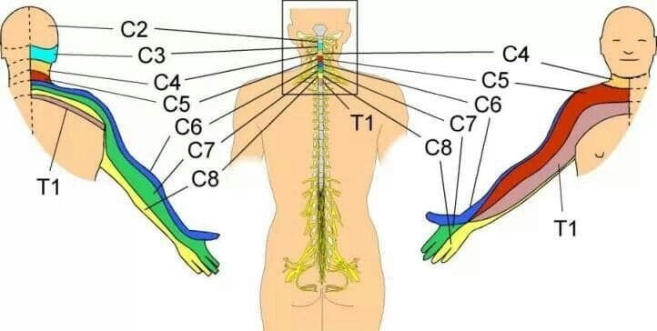 LA FIBROMIALGIA E' IL NUOVO "COLON (intestino, prego!) IRRITABILE"?