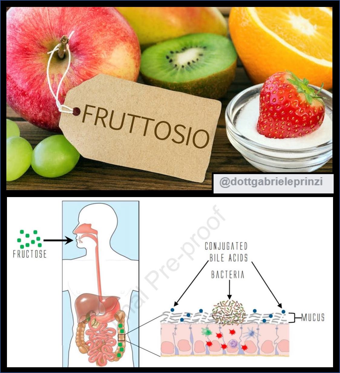 MA DAVVERO IL FRUTTOSIO PEGGIORA LA COLITE ED E' CONNESSO ALLE MALATTIE INFIAMMATORIE CRONICHE?