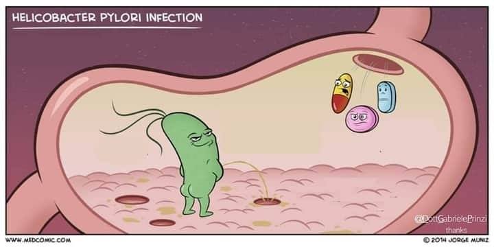 SI PUO' GUARIRE DALL' HELICOBACTER SENZA ANTIBIOTICI