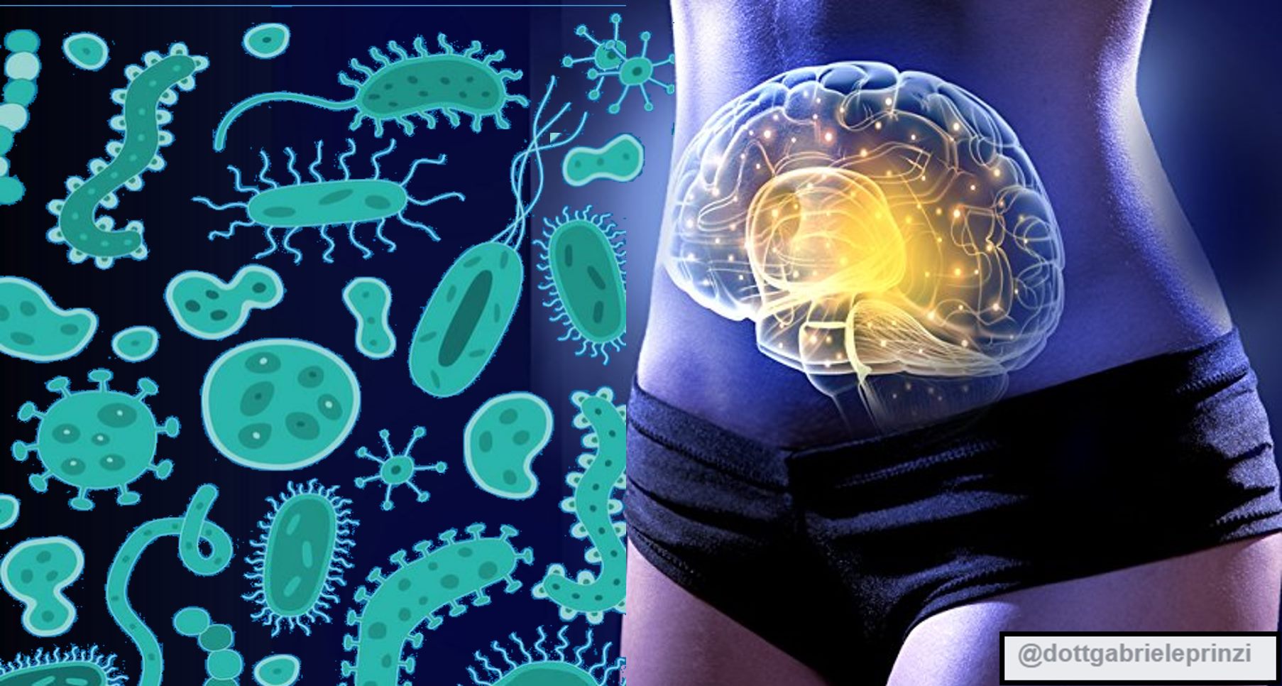 CAPIRE LE CAUSE DI ANSIA E DEPRESSIONE: VIAGGIO DALL' INTESTINO AL CERVELLO E RITORNO